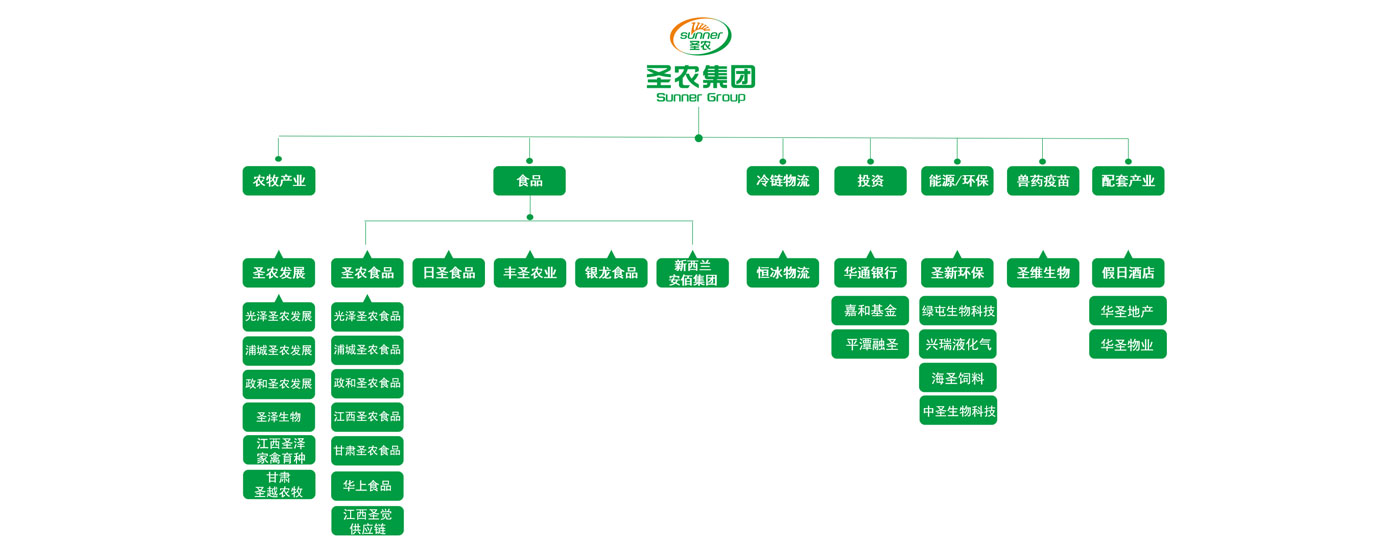 集团架构